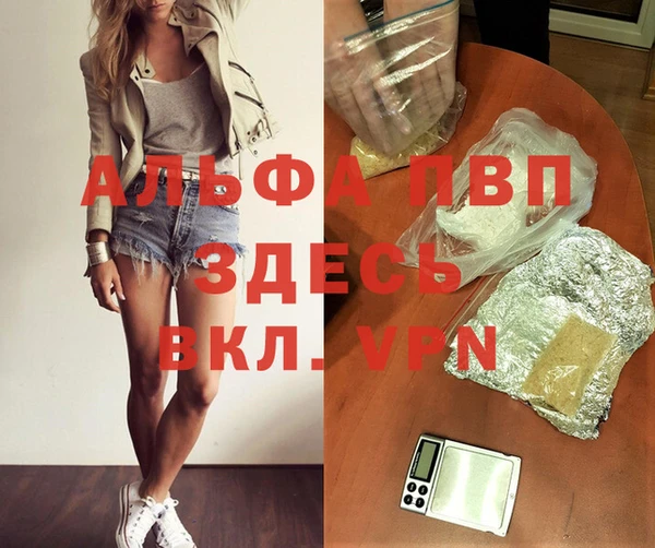 гидропоника Алзамай