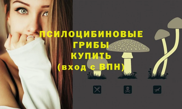 гидропоника Алзамай