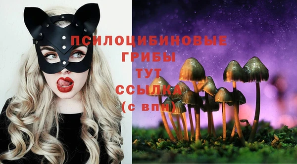 гидропоника Алзамай