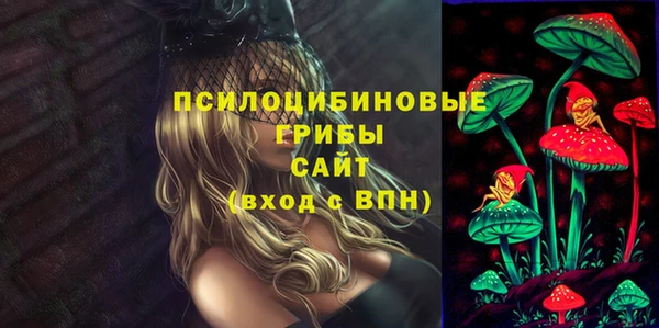 винт Алексеевка