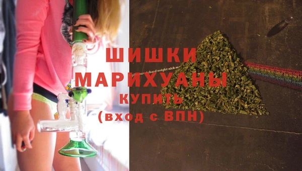 гидропоника Алзамай