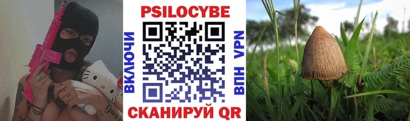 Псилоцибиновые грибы прущие грибы  наркотики  Курлово 