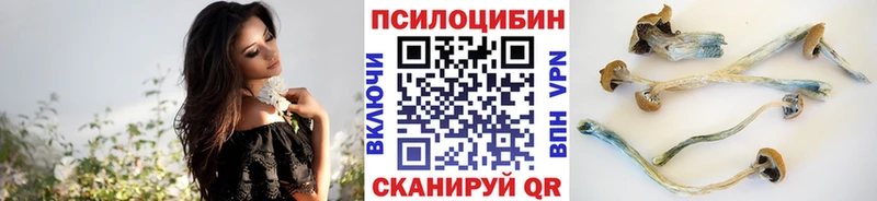 Псилоцибиновые грибы Psilocybine cubensis Курлово